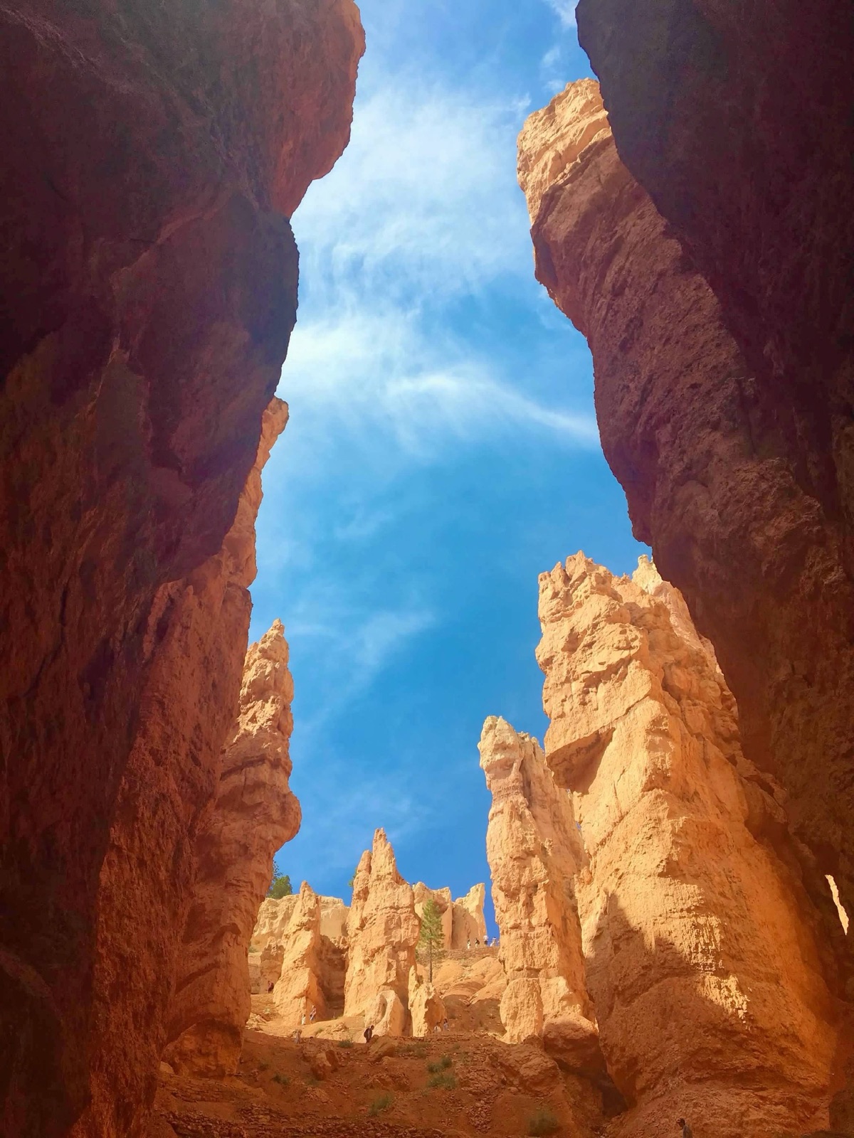 Hoodoos at Bryce Canyon — sandstone spires glowing in warm light